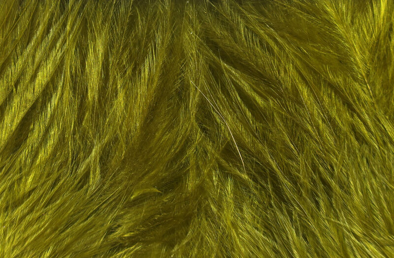 Wooly Bugger Marabou - 8
