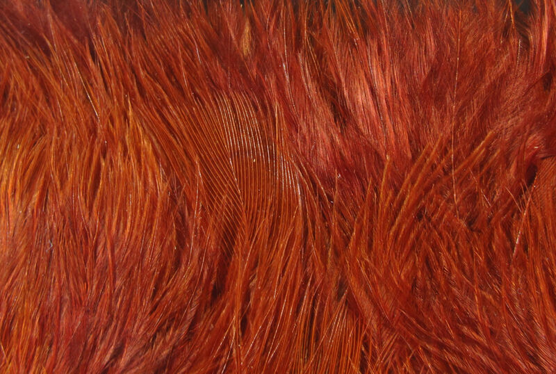 Wooly Bugger Marabou - 20