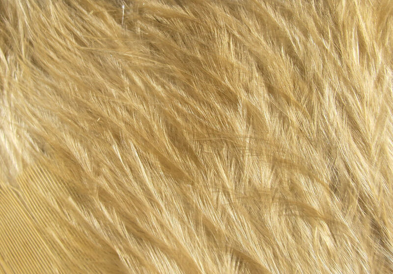 Wooly Bugger Marabou - 10