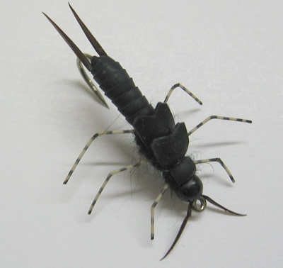 Nymph Skin - 2