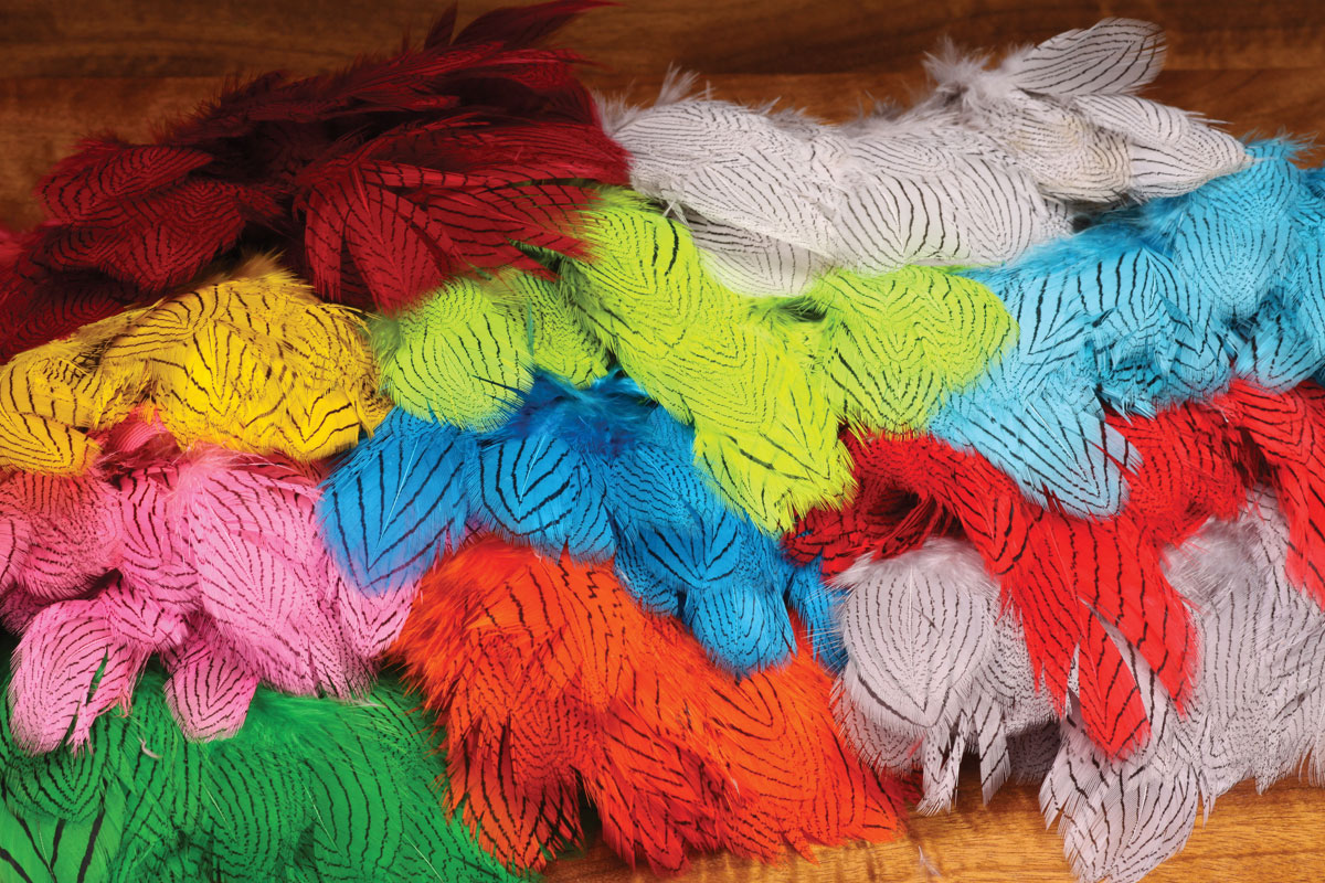 Silver Pheasant Feathers