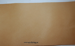 Shaftläder