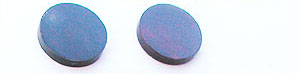 Buffelhorn coin - polerade