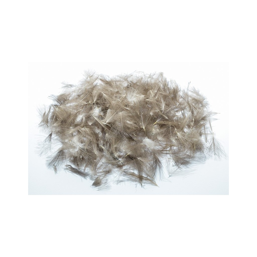 CDC - Wild Czech Feathers