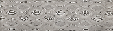 DSC® Carbon - Large Rhombi 3,3 mm