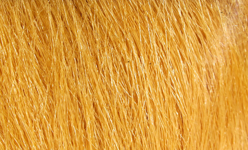 Extra Select Craft Fur - 34