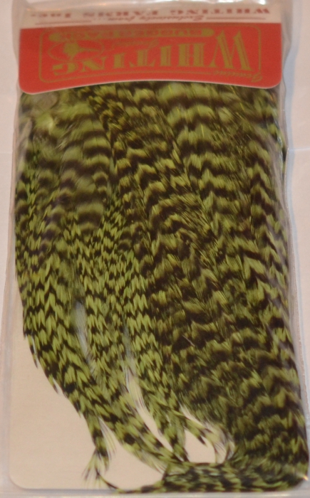 Whiting Bugger Pack - 8