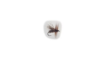 Sedges Deer Hair