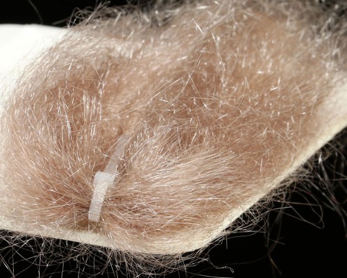 Ghost Hair - 16