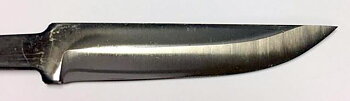 Lauri R C84