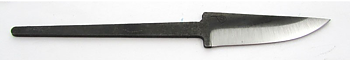 Lauri R Whittler C54