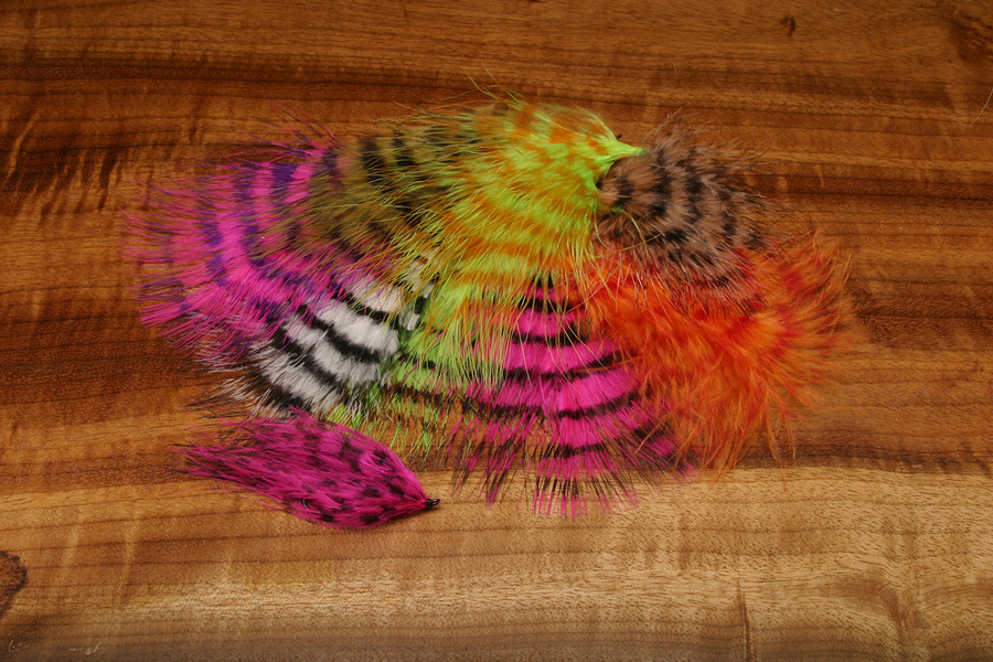 Barred Blood Marabou