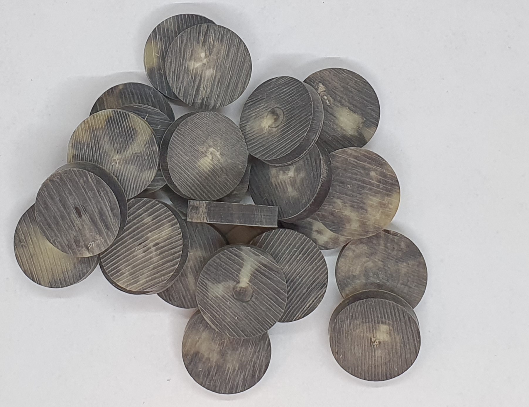 Buffelhorn Black & Blonde Coin