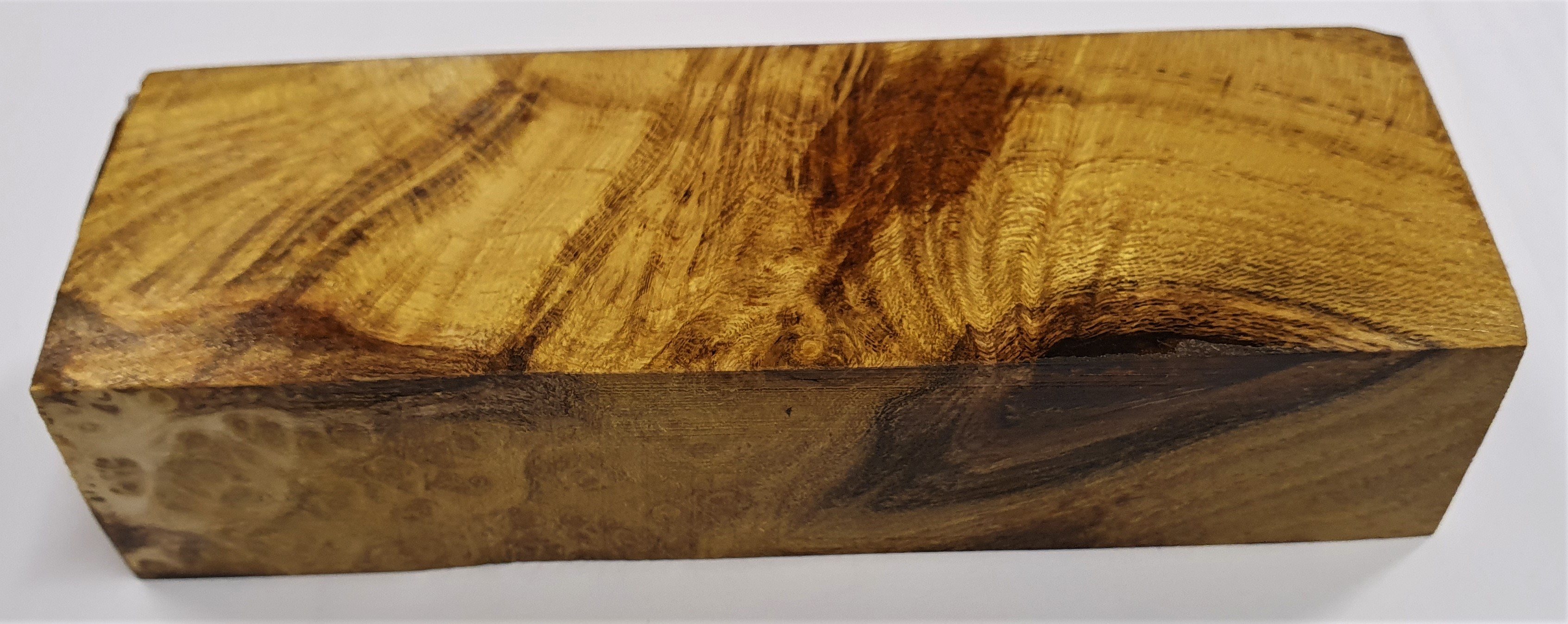 Black Locust burl