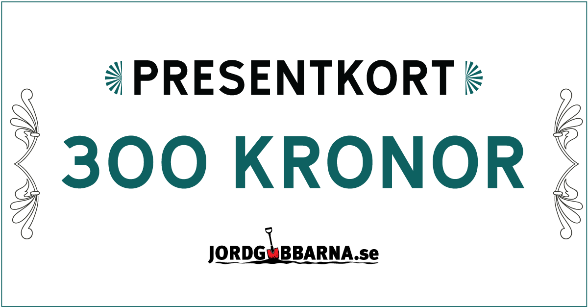 Presentkort 300 kronor