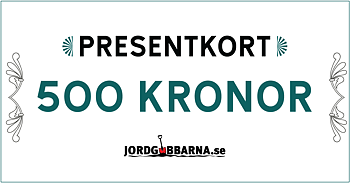 Presentkort 500 kronor