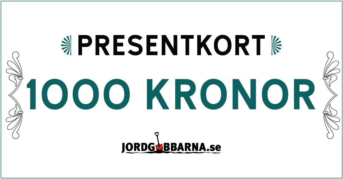 Presentkort 1000 kr