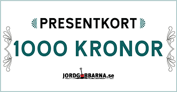 Presentkort 1000 kr