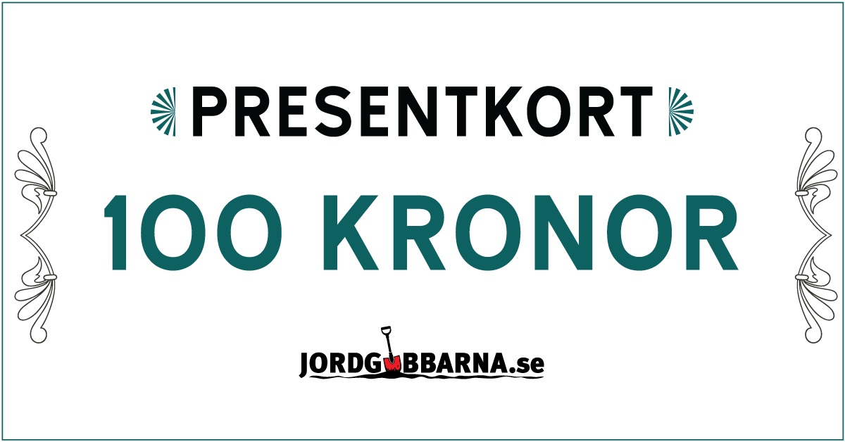 Presentkort 100 kronor