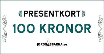 Presentkort 100 kronor