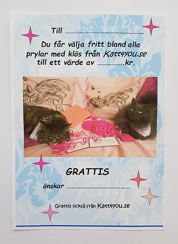 Presentkort 