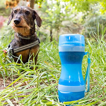 Kombinerad Vattenflaska och Matbehållare för Hunden