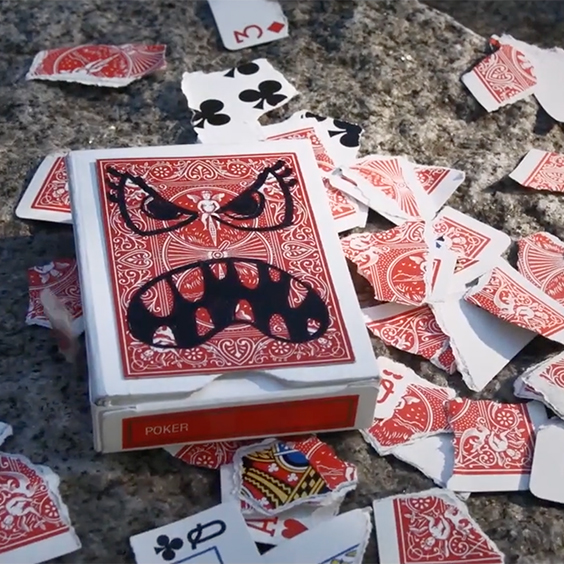 card shark kortlekar card shark kortlekar