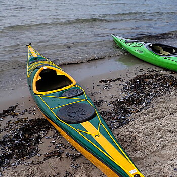 Aquarius Sea Lion LV Racing Green-Melon