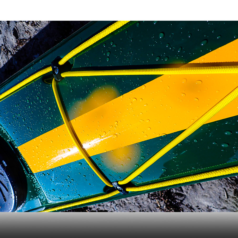 Aquarius Sea Lion LV Racing Green-Melon - 2