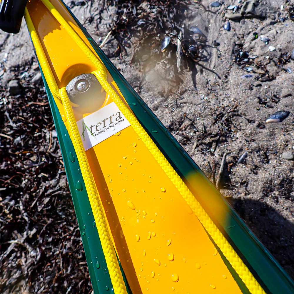 Aquarius Sea Lion LV Racing Green-Melon - 4