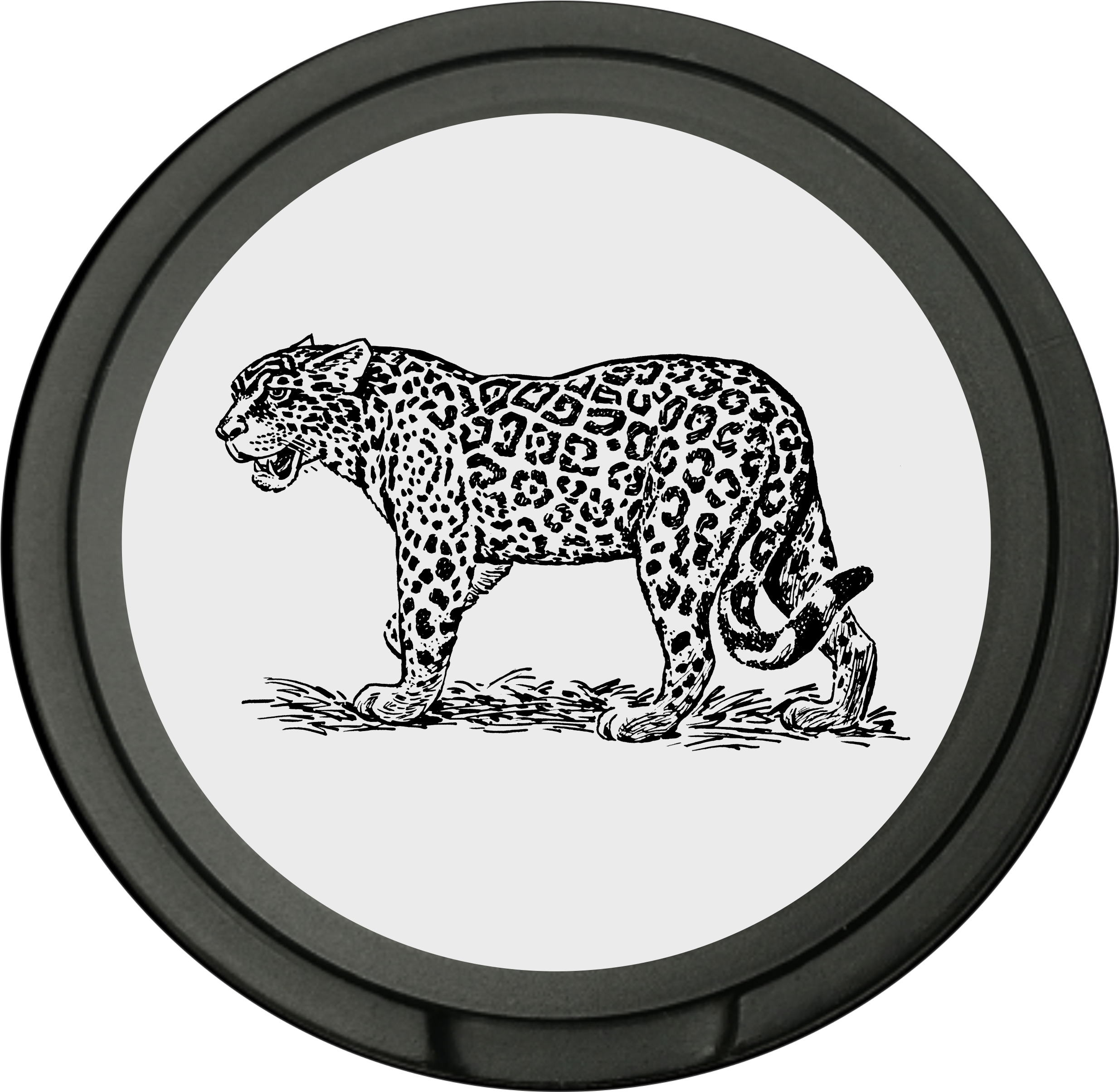 Snusdosa för portionssnus med dubbellock  Leopard
