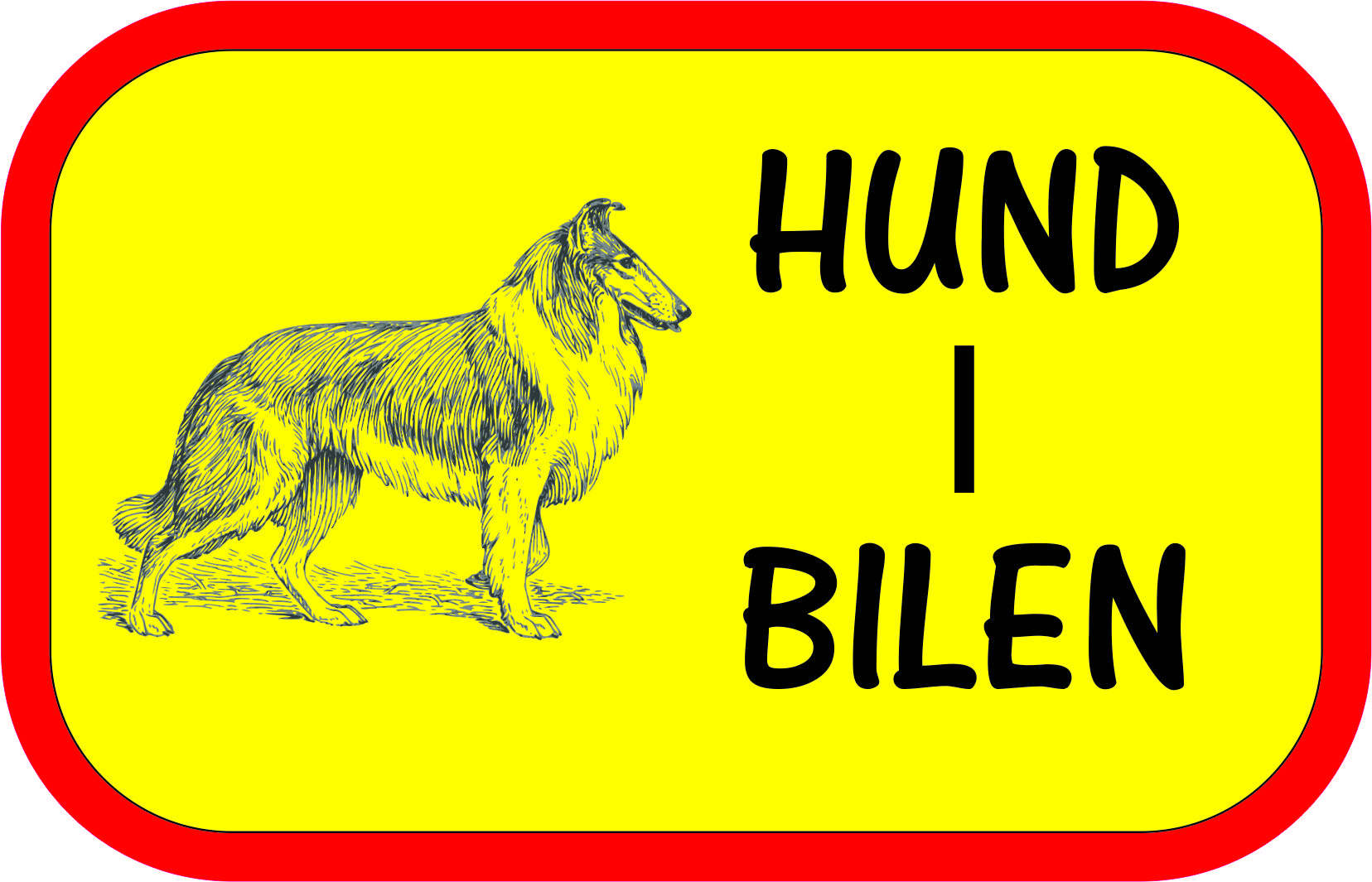 Bildekal HUND I BILEN COLLIE