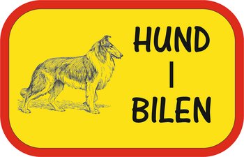Bildekal HUND I BILEN COLLIE