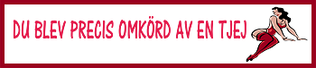 Bildekal DU BLEV PRECIS OMKÖRD AV EN TJEJ