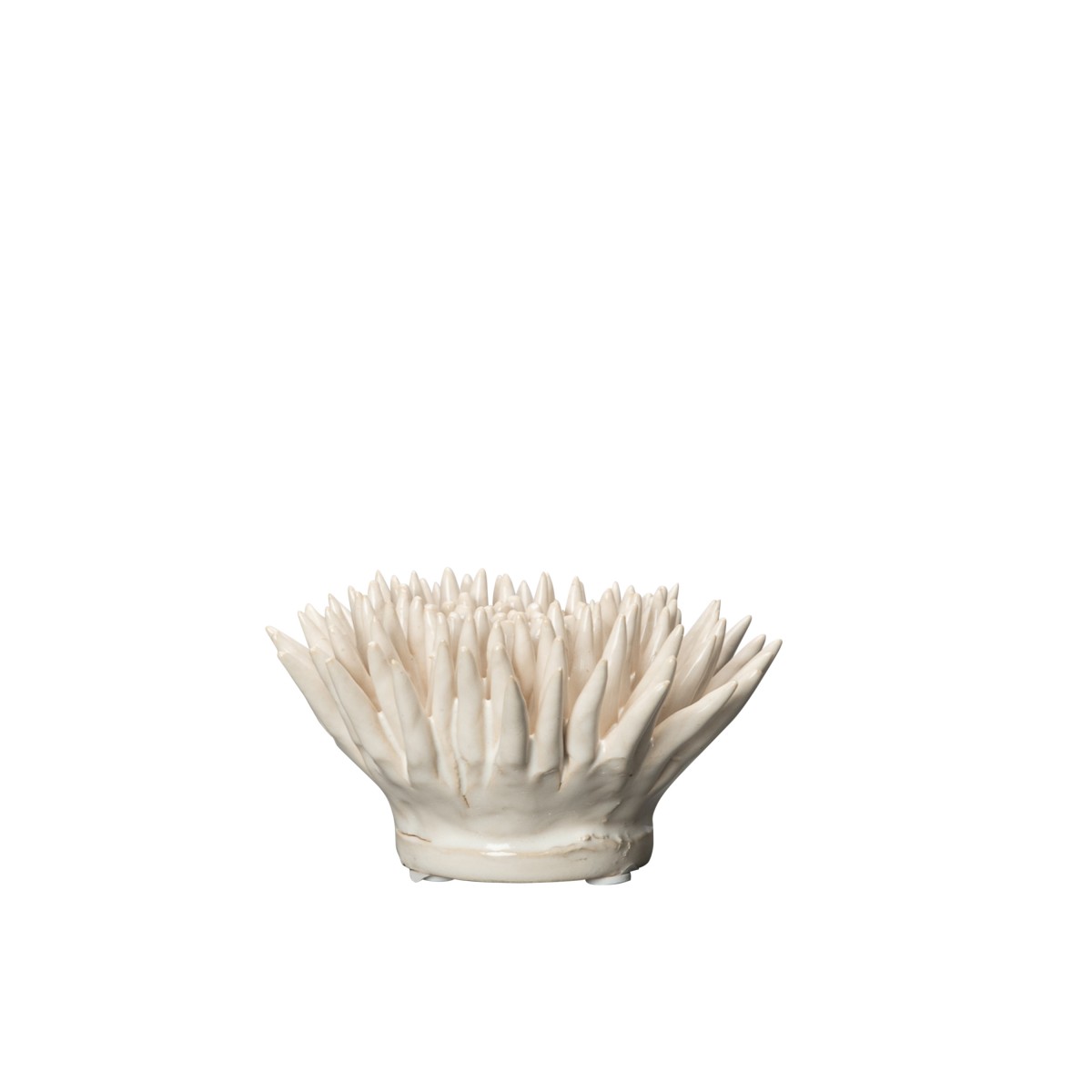 Dekoration Ocean - 2
