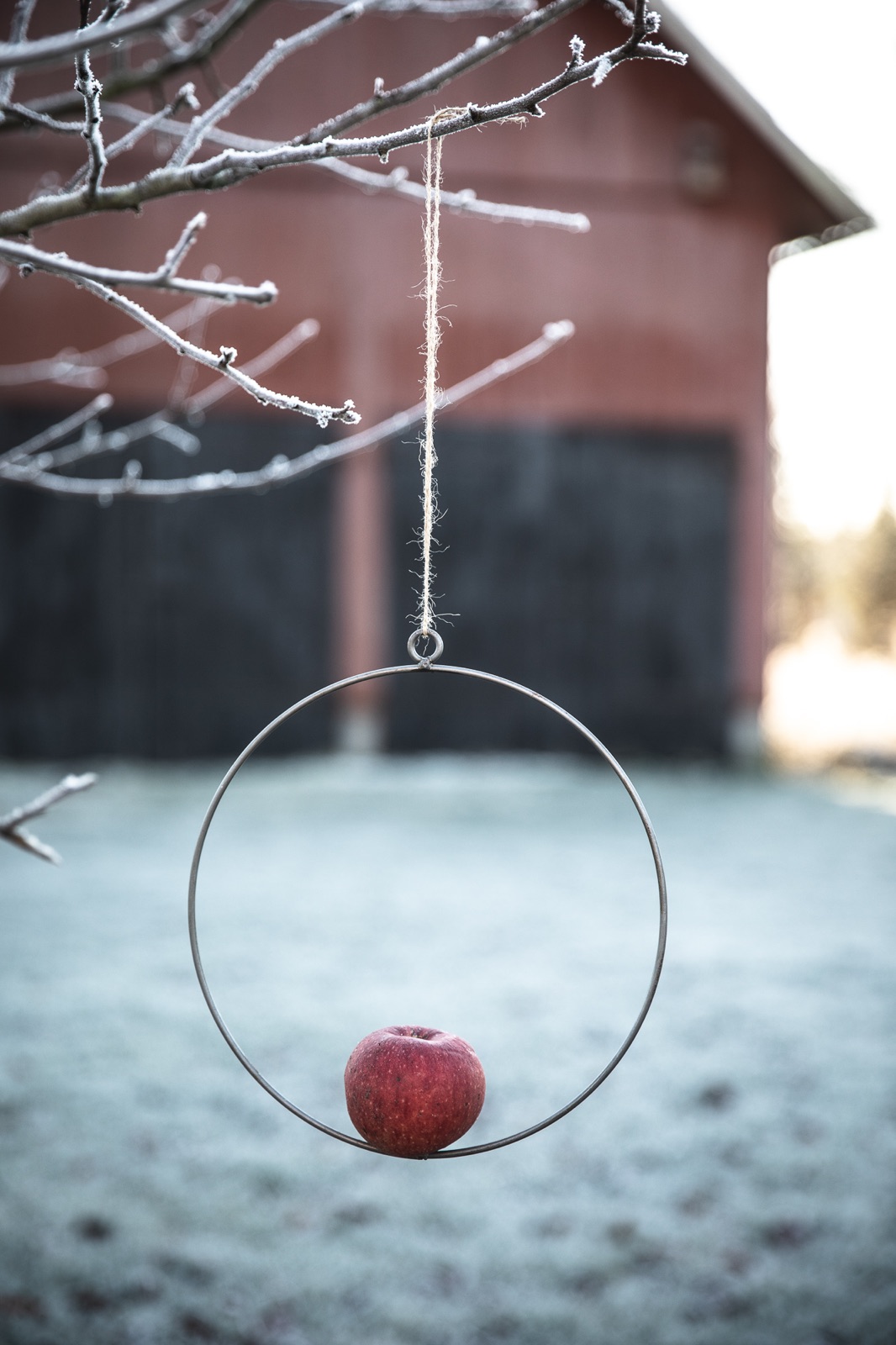 Fågelmatare för Äpple eller Talgboll