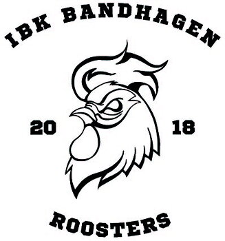 Spelare IBK Bandhagen