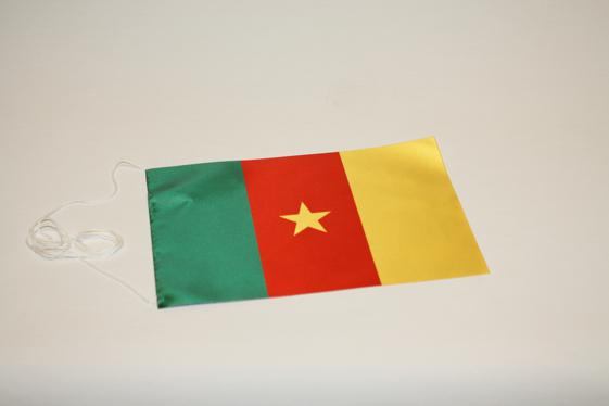 Bordsflagga Kamerun - 2