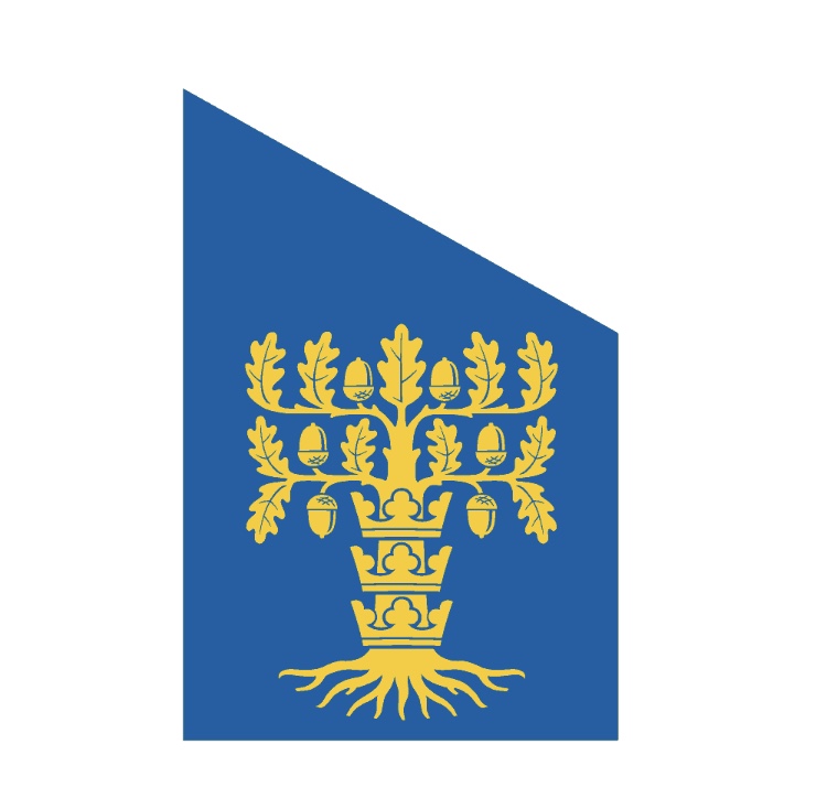Fasadflagga - Blekinge - 2