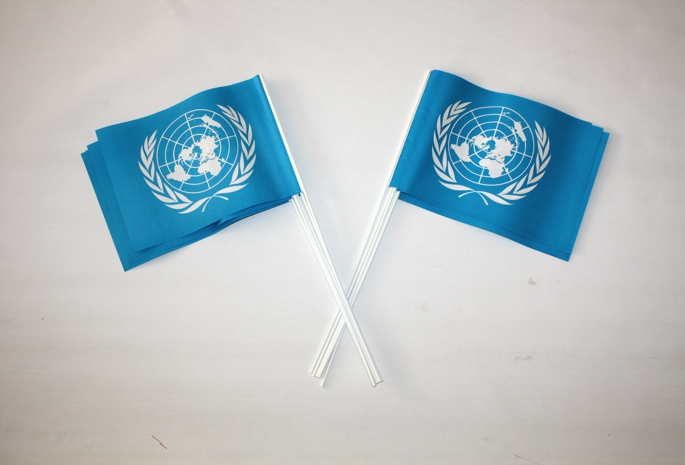 Pappersflagga FN 