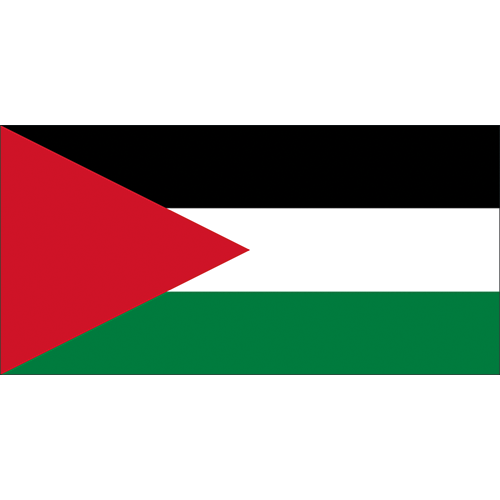 Nationsflagga Palestina  - 2