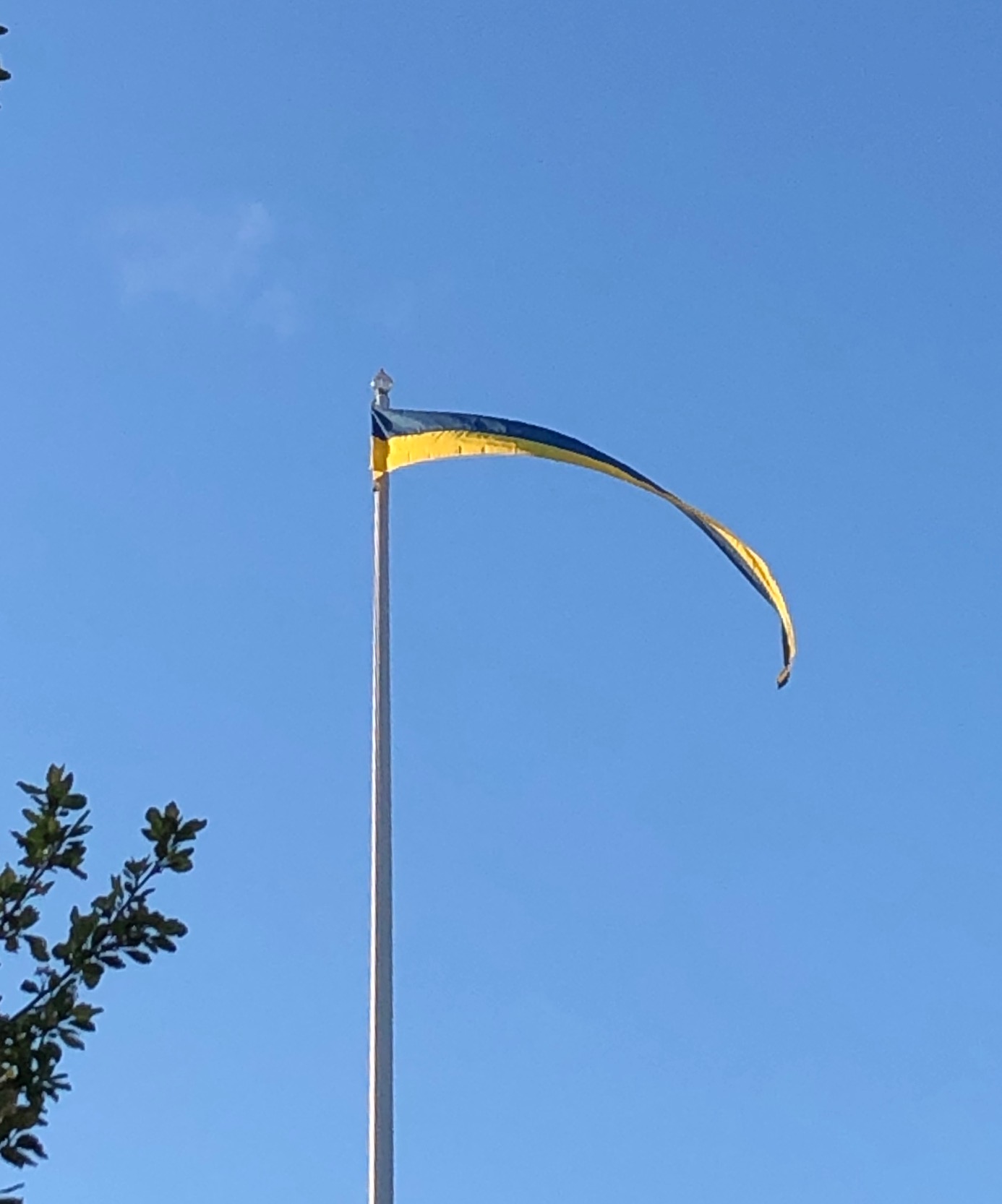 Vimpel Sverige 600 cm  - 2