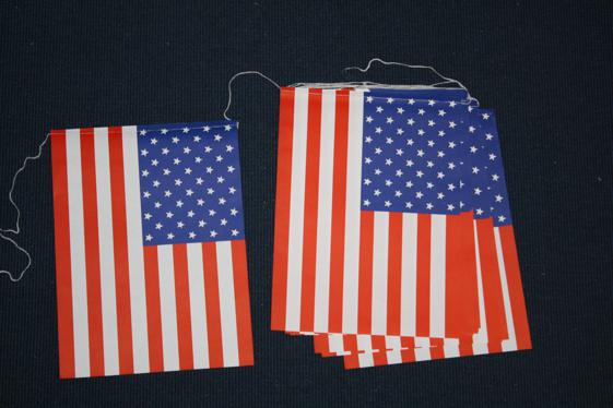 Flaggspel USA