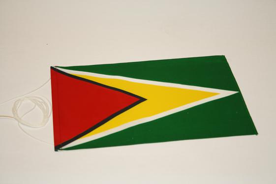 Bordsflagga Guyana - 2