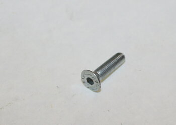Insexskruv M5x20 mm