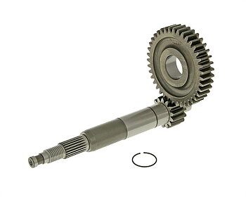 Primary Gear Malossi 14/39 (1:2,79) - Piaggio CM