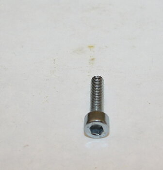 Insexskruv M5X20