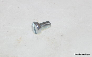 M5 x 10 Spårskruv