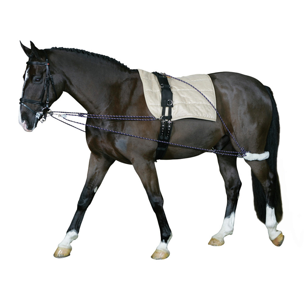 Longeringssystem Cheval 