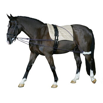 Longeringssystem Cheval 